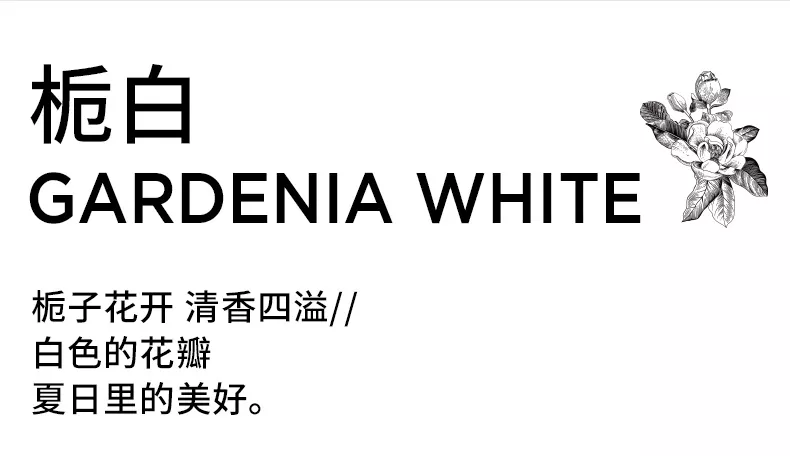 画板-1_04.webp